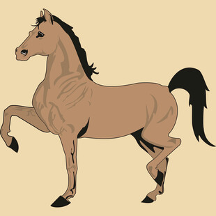 站立的棕色骏马