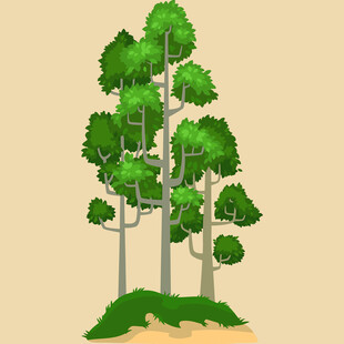 翠绿挺拔的树木景观