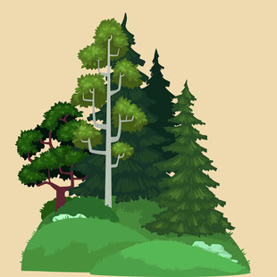 森林小景多样树木聚于一处