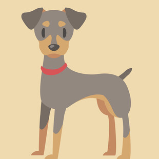 可爱站立马尔济斯犬形象