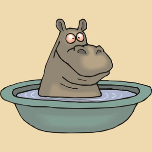 泡澡的河马