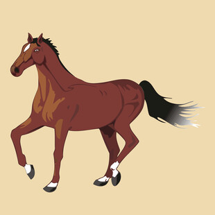 奔跑的棕色骏马