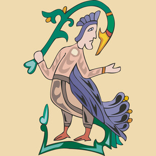 奇幻鸟人形象插画