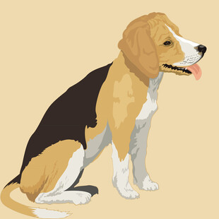 坐着的比格犬插画