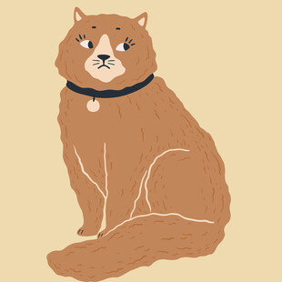 坐着的戴项圈猫咪