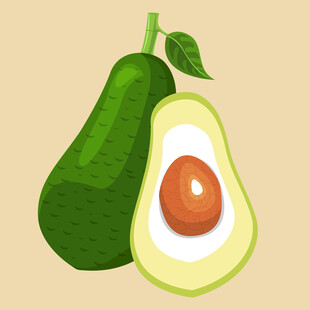 牛油果插画完整与切开形态