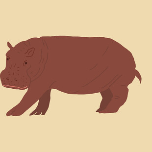 卡通风格的河马形象