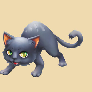 灰黑色萌态小猫