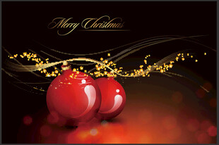 圣诞红果装饰图