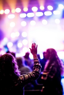 现场音乐会中的热情观众