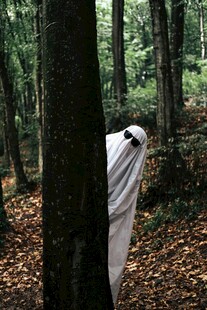 森林中身 白布的神秘身影