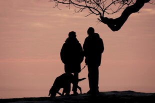 黄昏下人与狗的温馨剪影