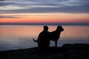 人与狗共赏海边日落美景