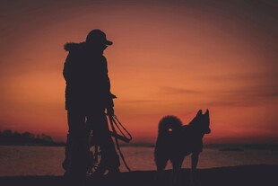 夕阳下人与狗的温馨剪影