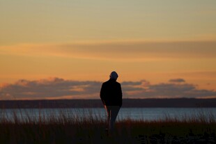夕阳下的独行者