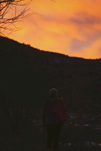 夕阳下的独行者