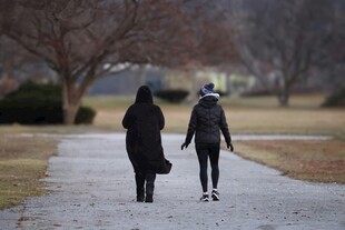 冬日小路漫步的两人身影