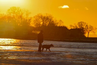 夕阳下人与狗漫步于冰面