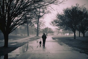 雾中漫步的人与狗