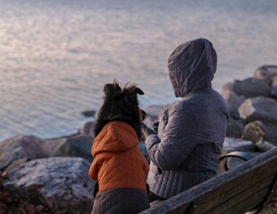 人与狗海边温馨相伴