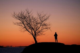 夕阳下孤树旁的伫立者
