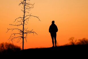 夕阳下的孤独身影