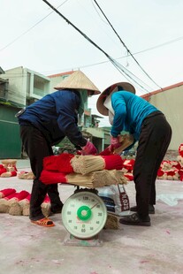 渔民码头分拣海鲜场景