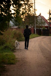 黄昏男子与狗漫步小路