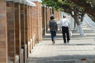 两人漫步于砖墙旁小道