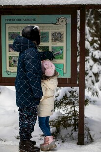 父女雪天共赏展示板