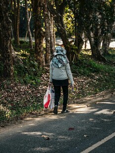 林间独行者背影