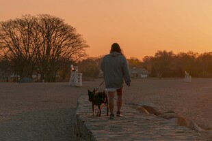 夕阳下人与狗漫步的温馨场景