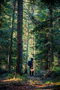 森林中徒步的背包客