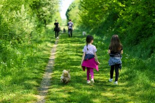 儿童林间小径快乐漫步
