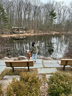 湖畔长椅旁的静谧休闲场景