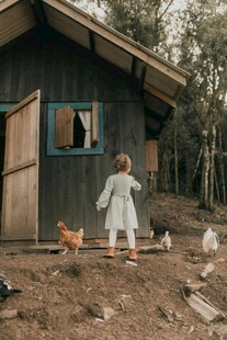 木屋前玩耍的小女孩与鸡