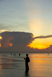 夕阳下的海边垂钓者