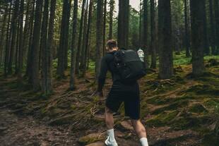 徒步者穿行于茂密森林