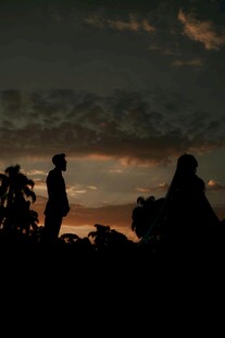 黄昏下的人物与植物剪影