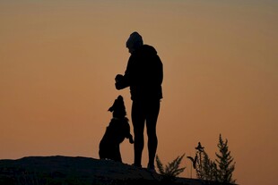 夕阳下人与狗的温馨剪影