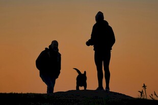 夕阳下人与宠物的温馨剪影