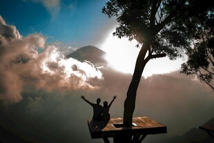 山顶树旁的自由欢呼时刻