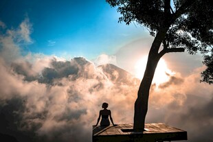 独坐云端树旁 沉思者