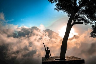 云端树下的孤 沉思者