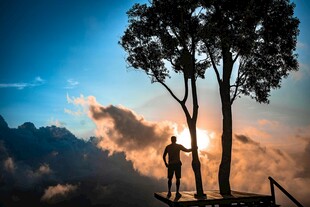 山顶树旁的孤独身影