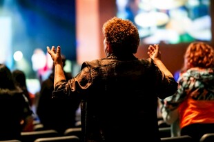 观众在现场热情欢呼