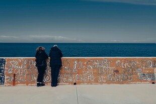 两人海边凭栏眺望远方