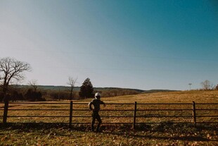 田野间的独行者