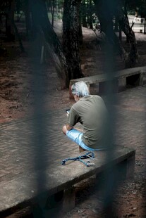 老人林间专注修理物件