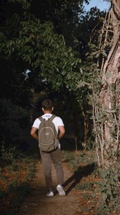 徒步者穿行于林间小道